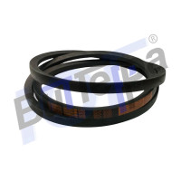 C 3000 Ремень клиновой приводной С 3000-Lp (22х14) ( DARWIN, OPTIBELT)
